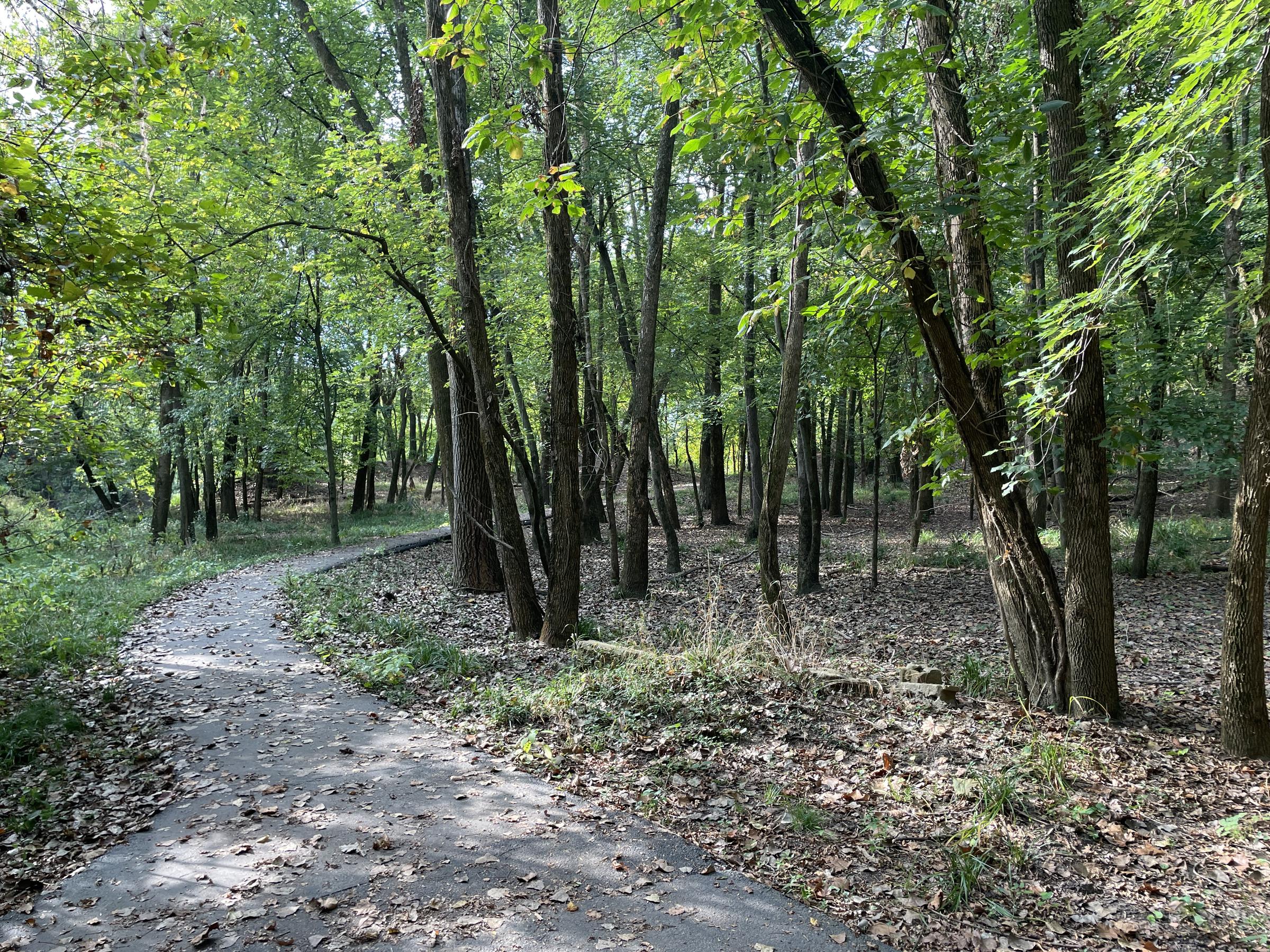 Emmenegger Nature Park Paved Path