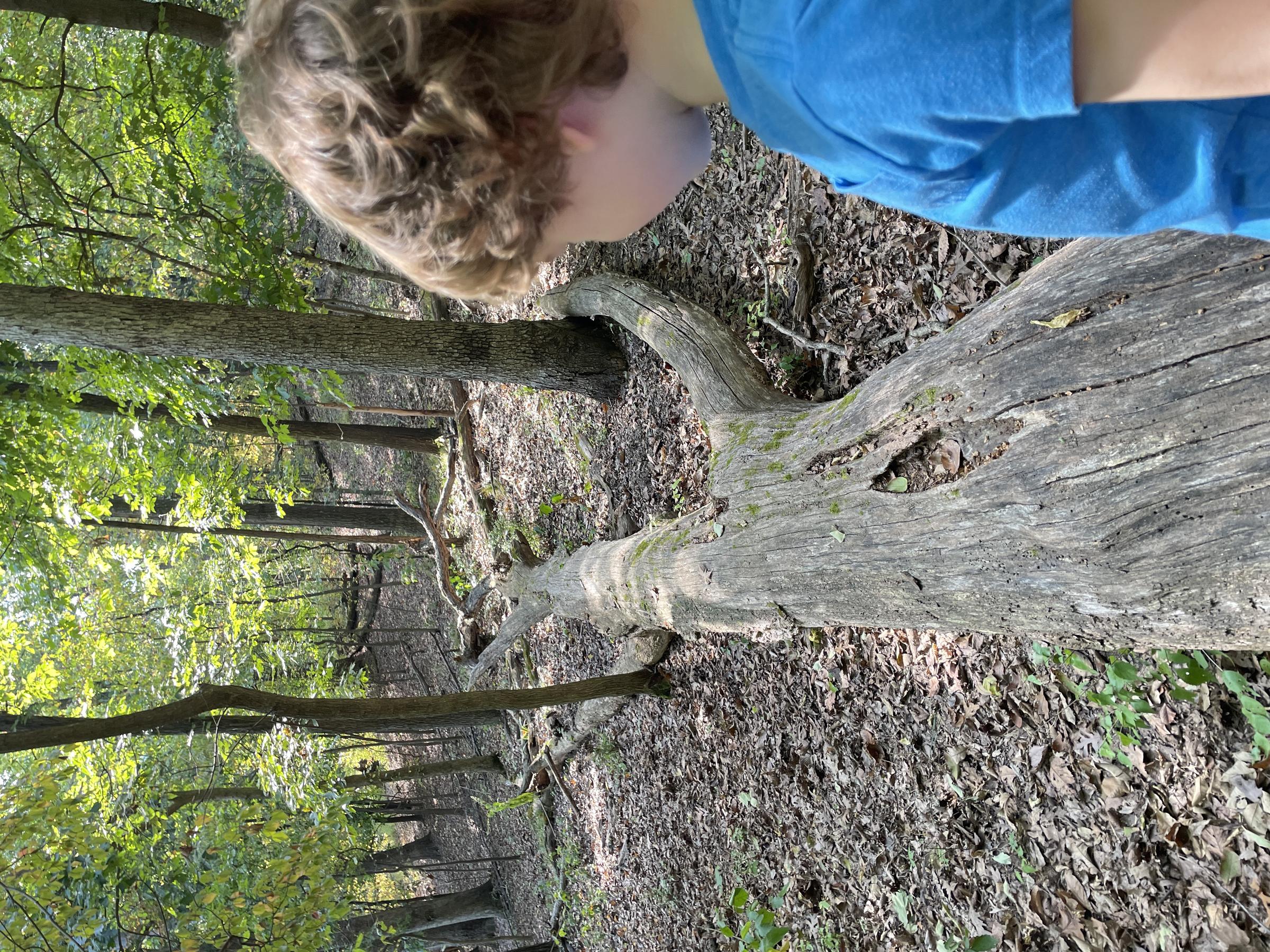 Emmenegger Nature Park climbing log