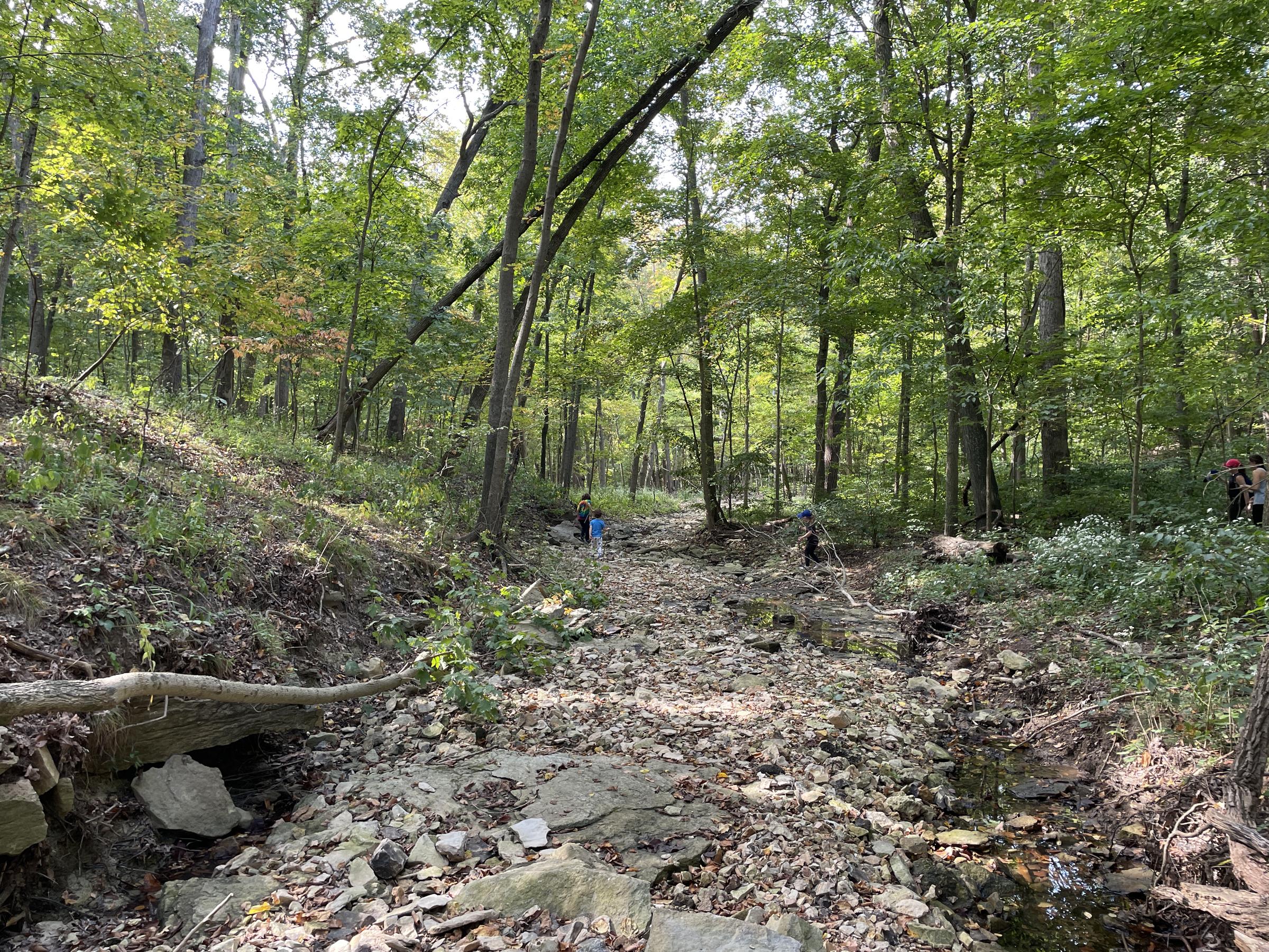 Emmenegger Nature Park creek bed