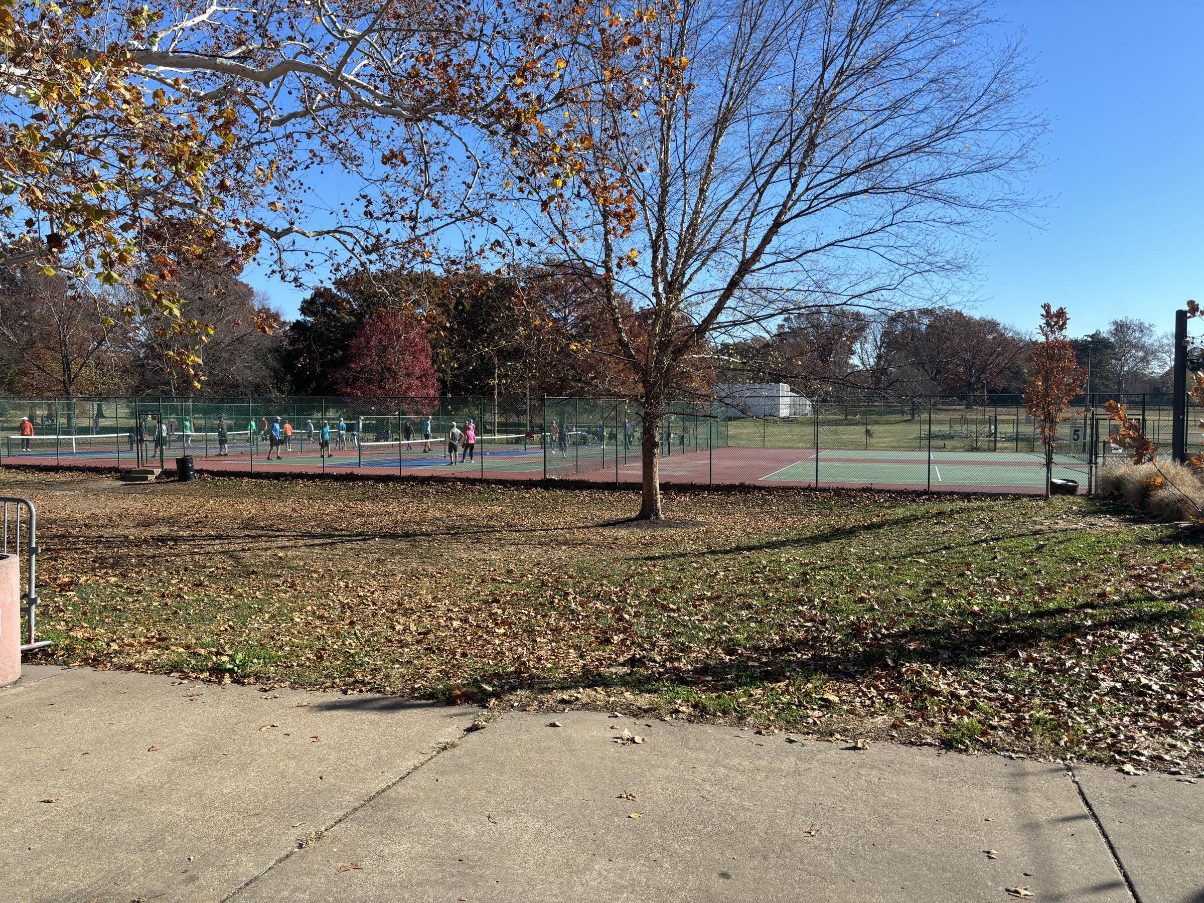 Francis Park tennis