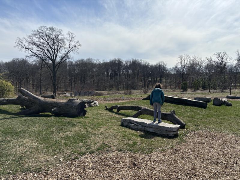 Play Area