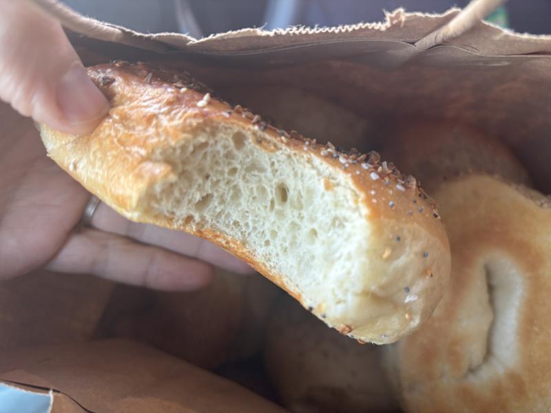 Everything Bagel Bite Warm