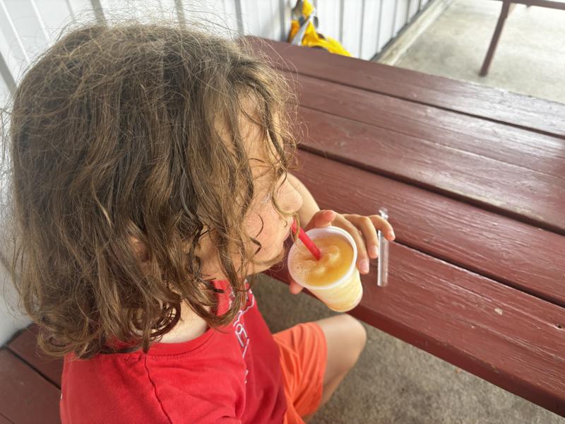 Apple Cidar Slushie
