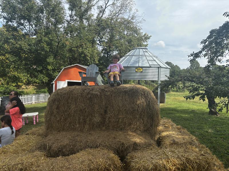Braeutigam Orchards bale play area