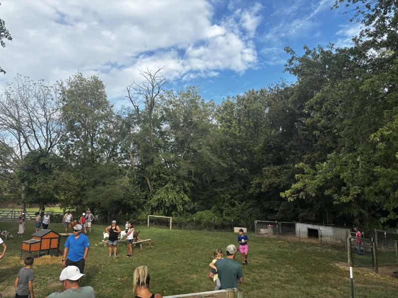 Braeutigam Orchards goat petting