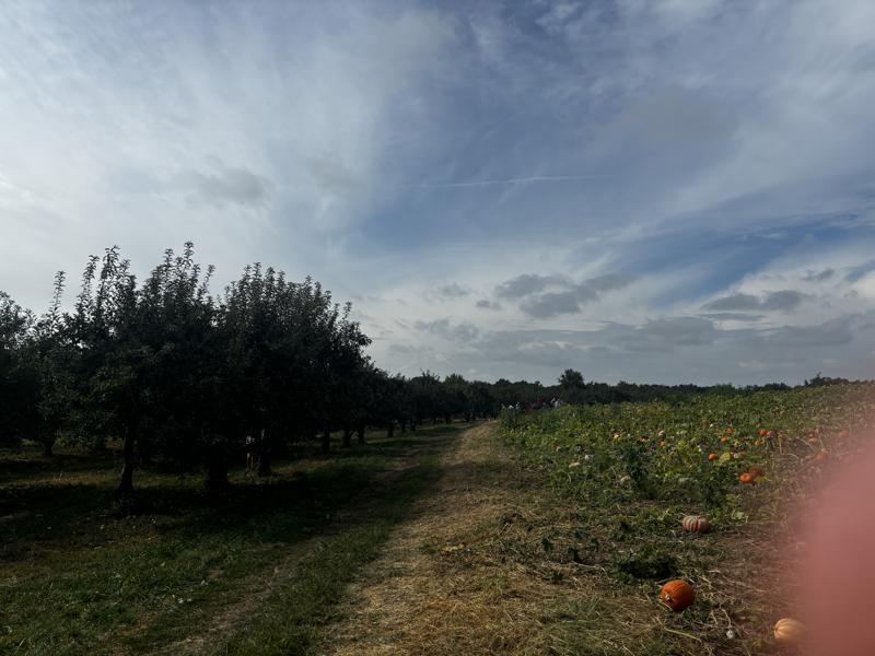 Braeutigam Orchards tractor path