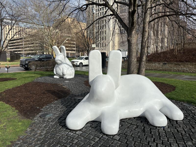Bunnies