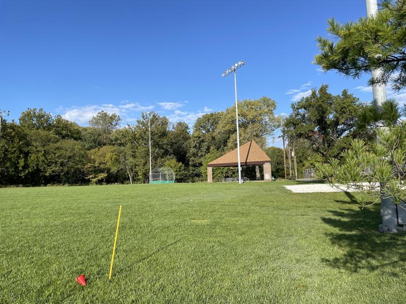 Field