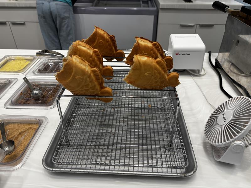 Dohmo specialty cones