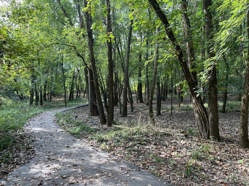 Beginning Path