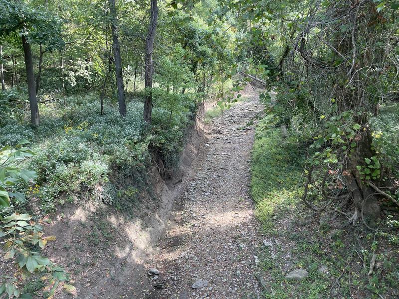 Creek Bed Entrance