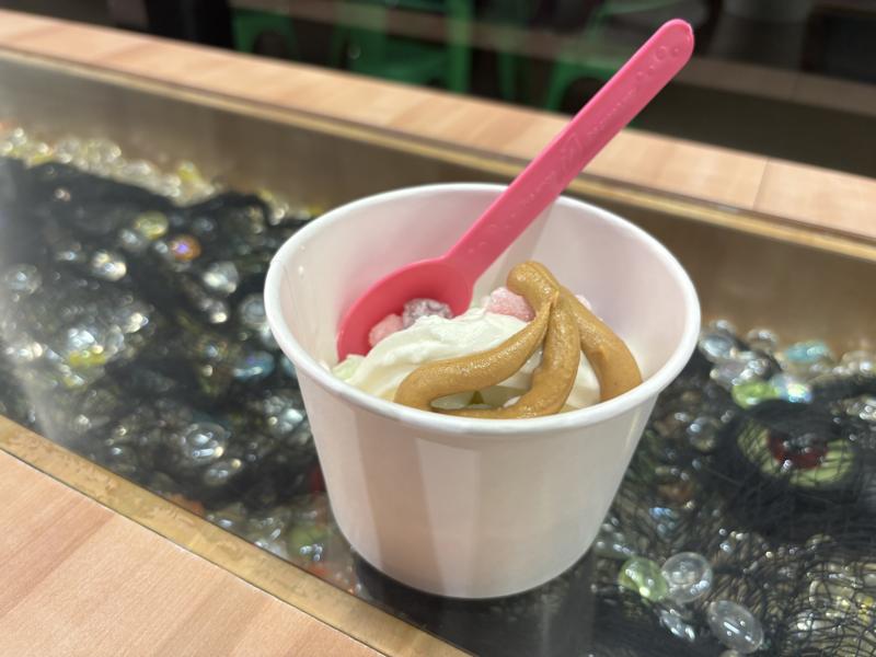 FroYo Frozen Yogurt