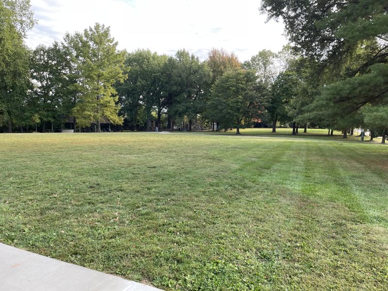 Field
