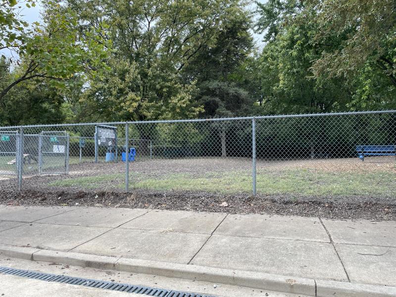 Dog Park 1