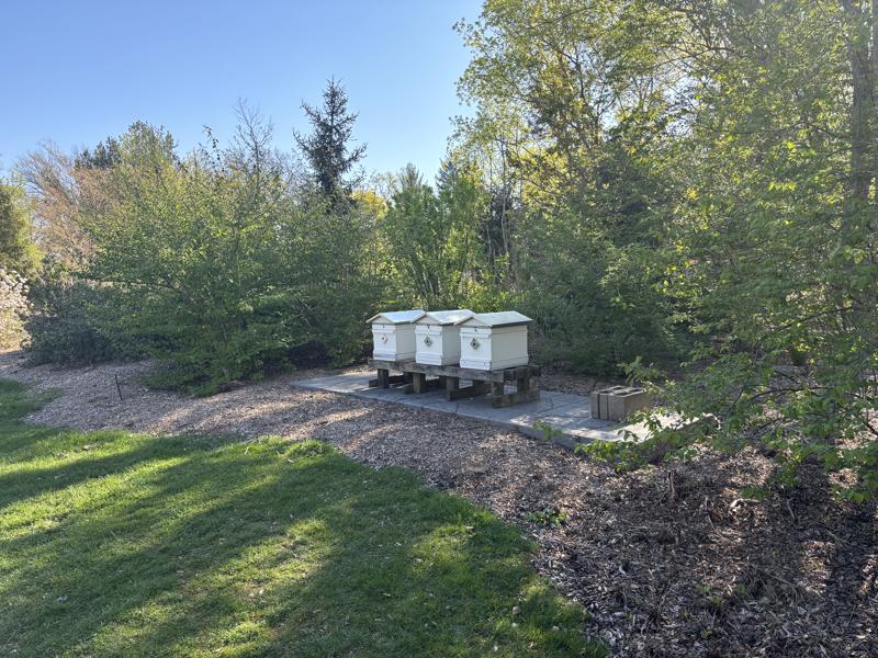 Bee Hives