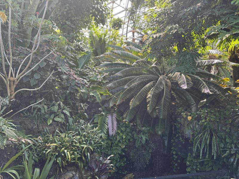 Climatron Inside 5