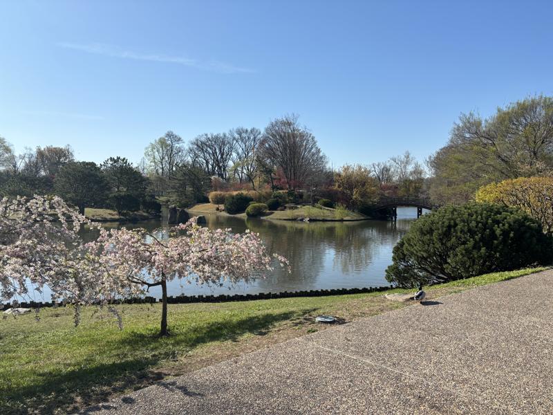 Missouri Botanical Garden lake