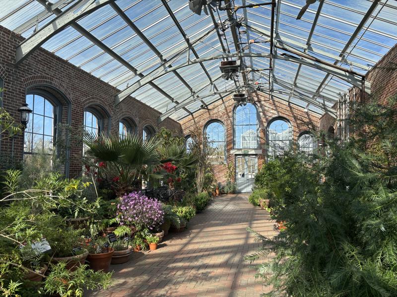 Missouri Botanical Garden linnean house garden