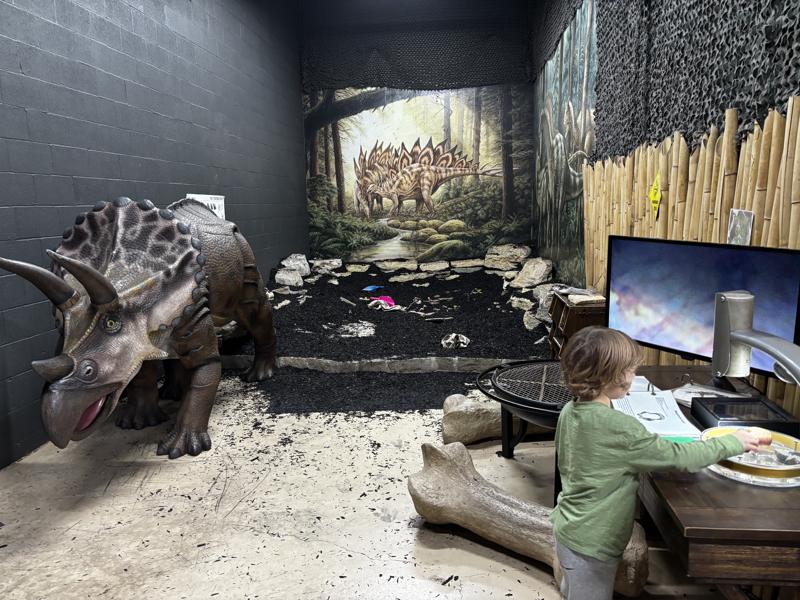 Myseum dinosaur area