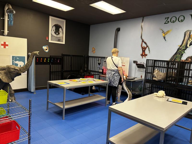 Myseum indoor stuffie zoo