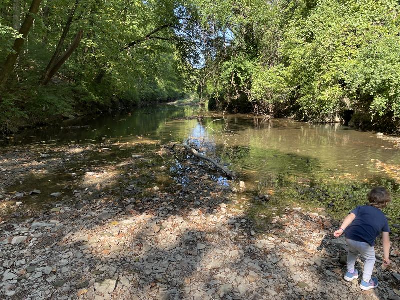Creek Bed
