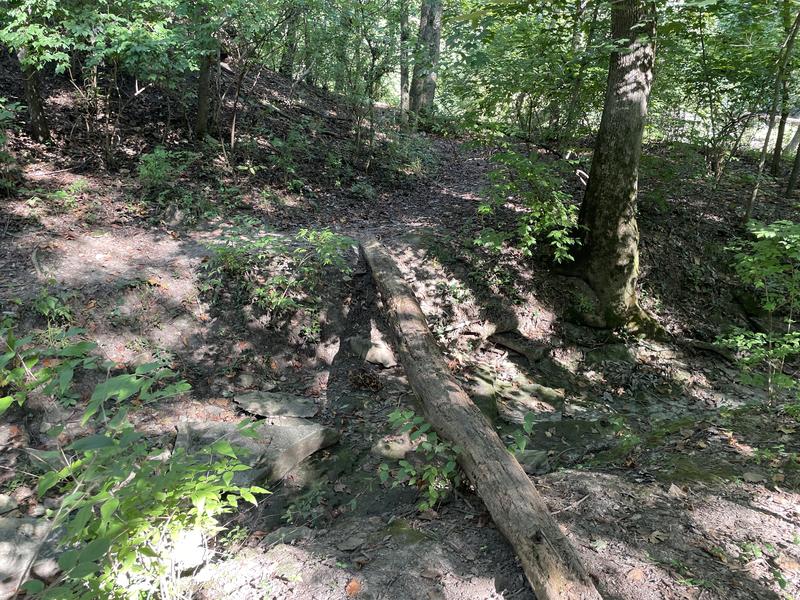 Crossing Log