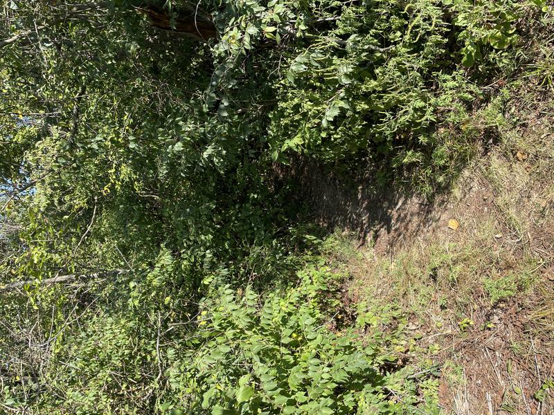 Secret Hike Entrance