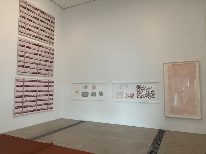 Back Gallery