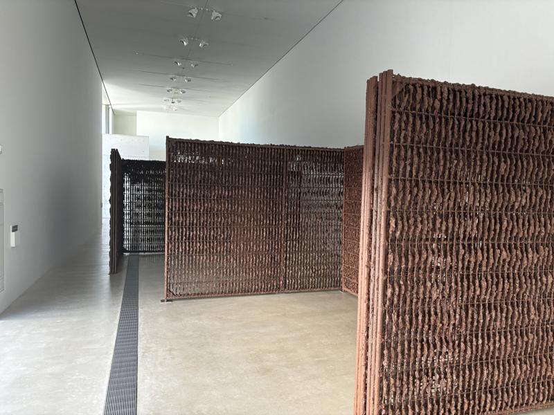 Pulitzer Arts Foundation main exhibit