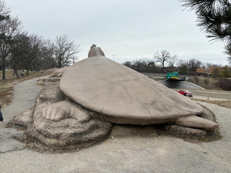 Second Turtle