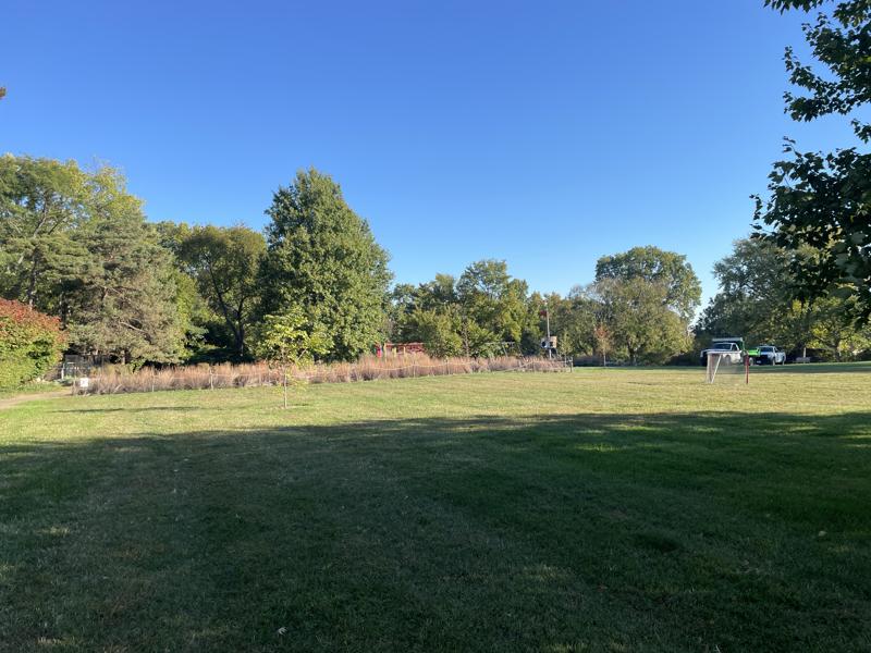 Field